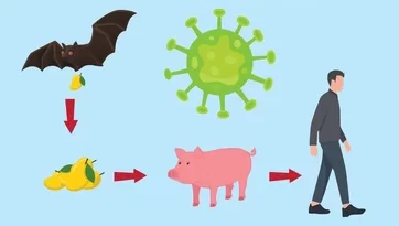 nguồn lây nhiễm