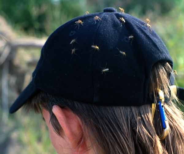 quần áo tối màu