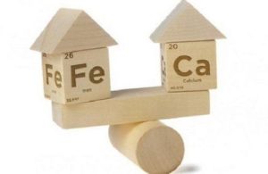 Canxi và sắt