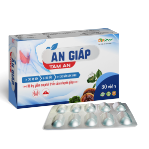 An Giáp Tâm An