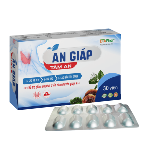 An Giáp Tâm An