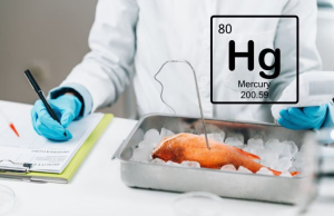 cá chứa thủy ngân