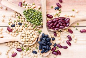 các loại đậu