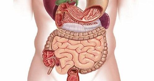 NGŨ TẠNG CƠ THỂ